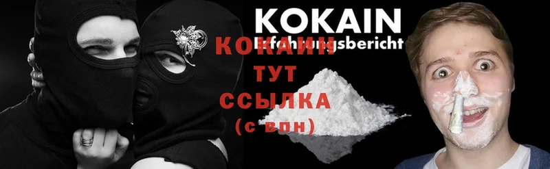 продажа наркотиков  Дегтярск  Кокаин Fish Scale 