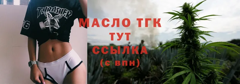 дарнет шоп  Дегтярск  ТГК гашишное масло 